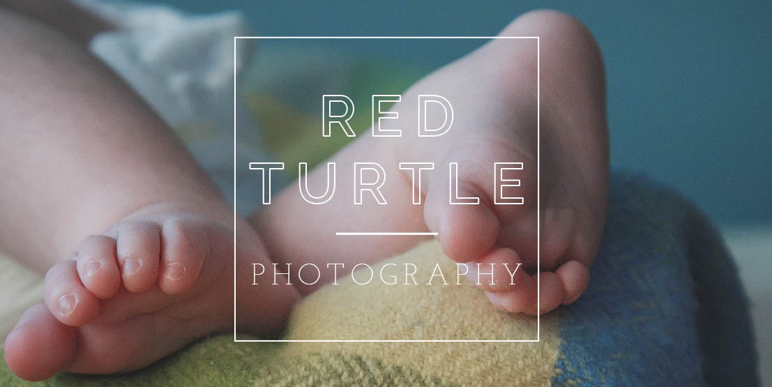 Red Turtle Photography